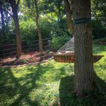 Garden by hammock